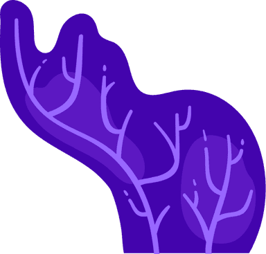 Seaweed