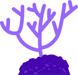 Seaweed
